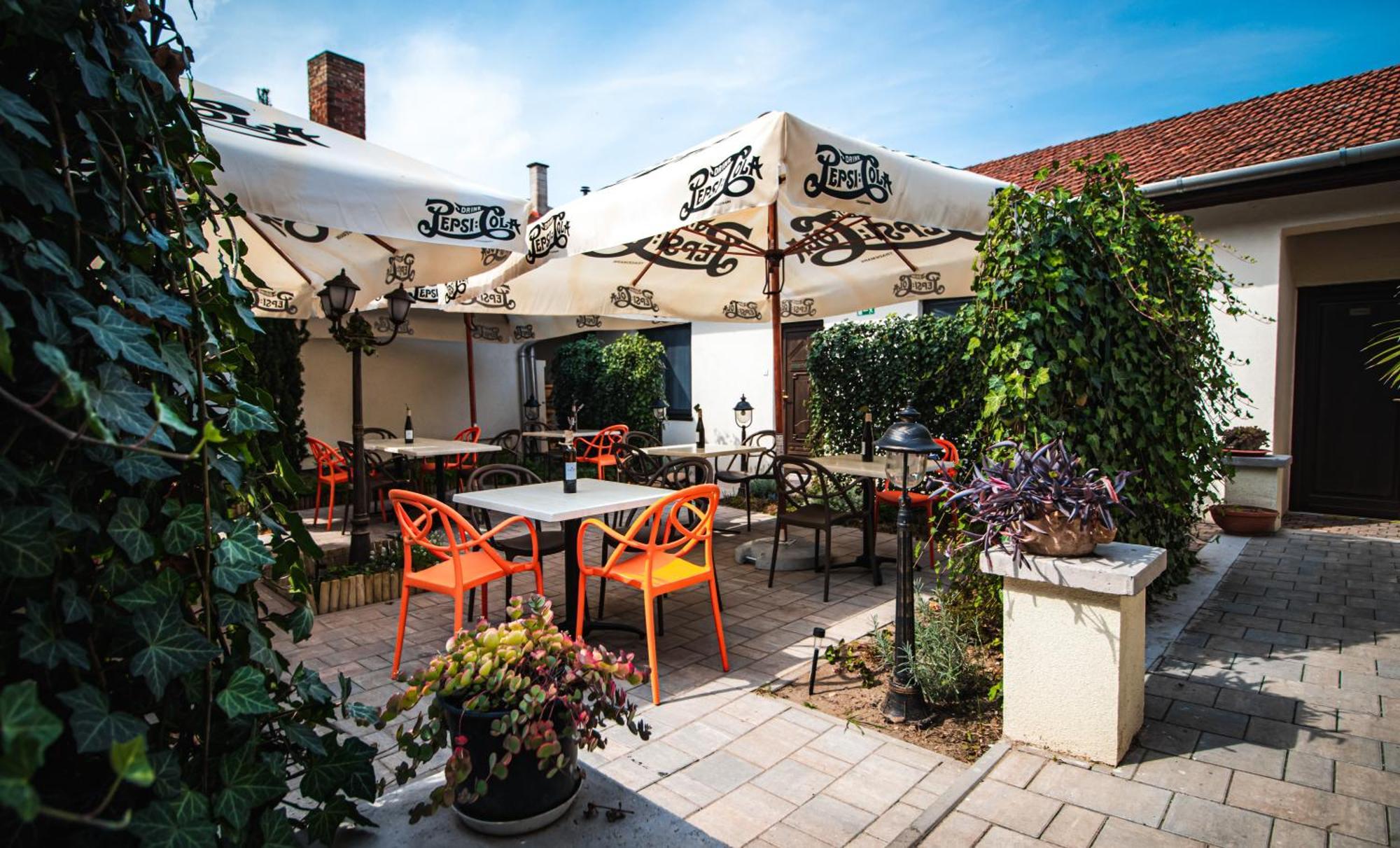 Fakapu Pince Es Panzio Bed & Breakfast Tokaj Exterior foto